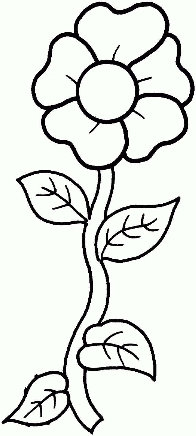 Flower Coloring Pages | To Do With My Boys | Pinterest | Flower - Free Printable Flower Coloring Pages