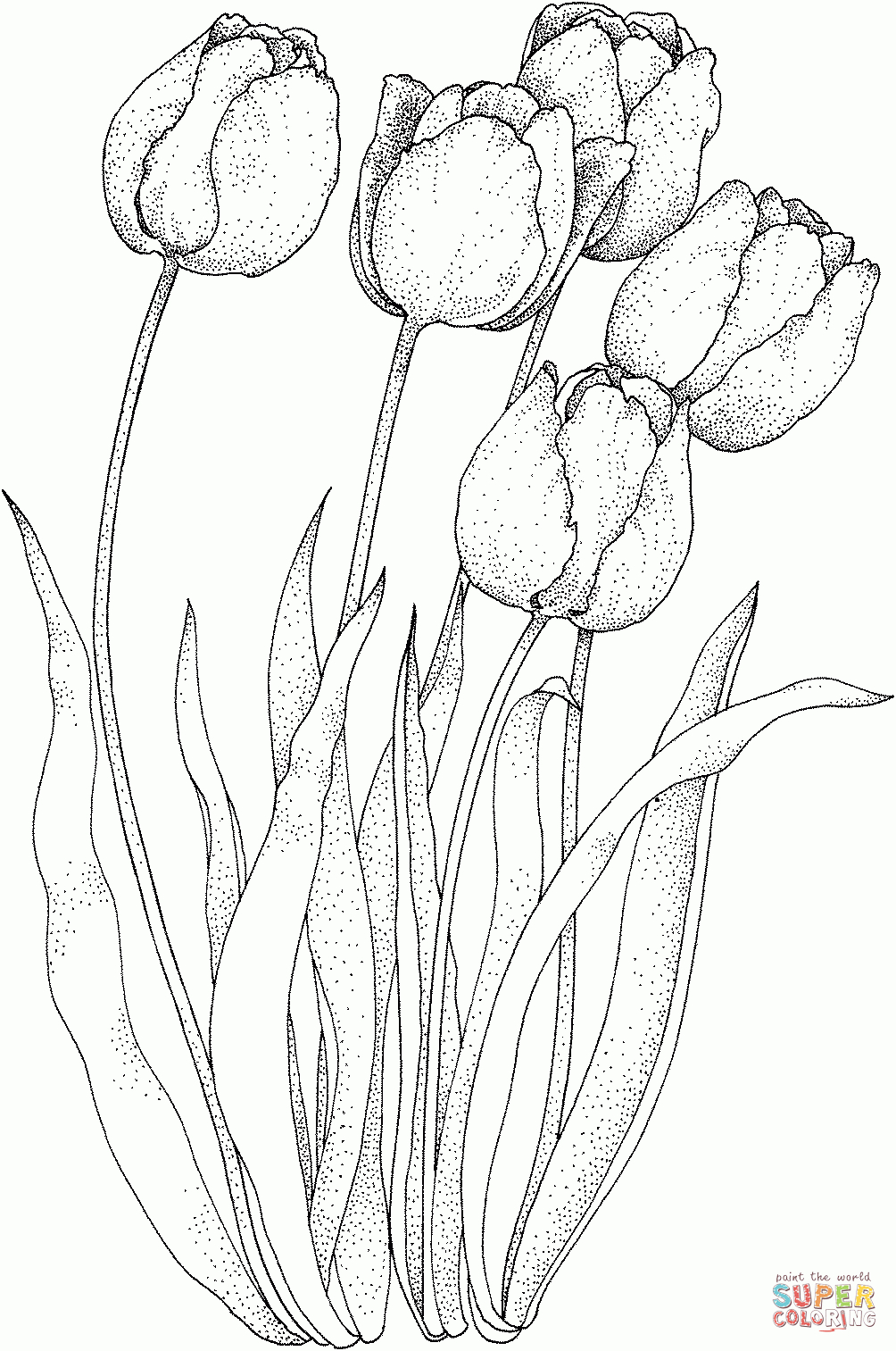 Four Tulips Coloring Page | Free Printable Coloring Pages - Free Printable Tulip Coloring Pages