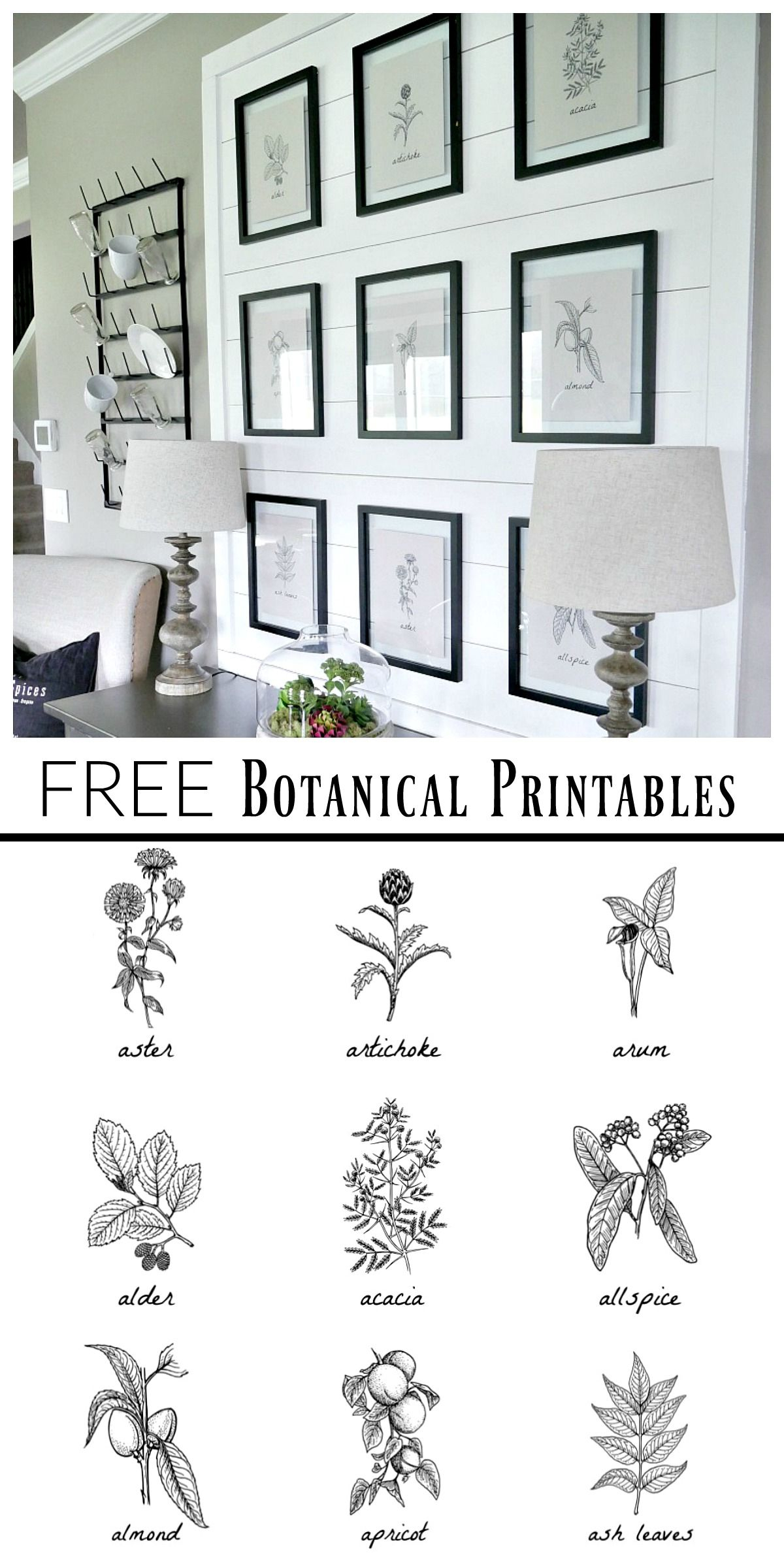 Free Botanical Prints | Bloggers&amp;#039; Best Diy Ideas | Diy Wall Art - Free Black And White Printable Art