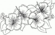 Free Coloring Pages Of Hibiscus Flowers – Coloring Home – Free Printable Hibiscus Coloring Pages