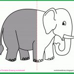 Free Drawing Worksheets Printable: Elephant Drawing Worksheets   Free Printable Elephant Pictures
