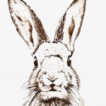 Free Easter Printable & Vintage Clip Art | Craftlady | Pinterest   Free Printable Vintage Easter Images