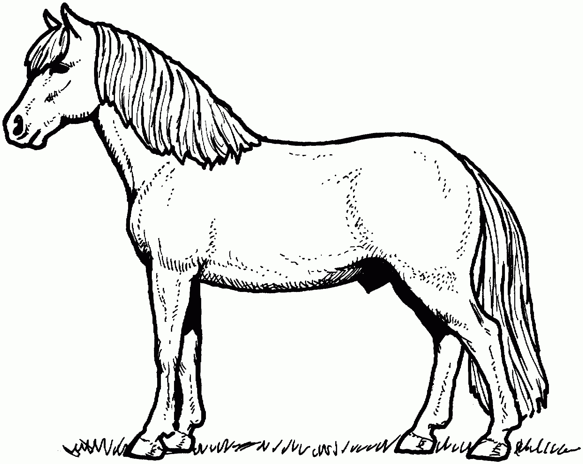 Free Horse Coloring Pages - Free Printable Horse Coloring Pages