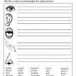 Free Printable 5 Senses Worksheets For Kindergarten – Aggelies Online.eu   Free Printable Worksheets Kindergarten Five Senses