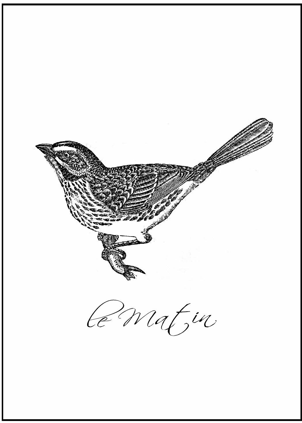 Free Printable Bird Nests | Free Download Or Printable Found: Here - Free Printable Images Of Birds