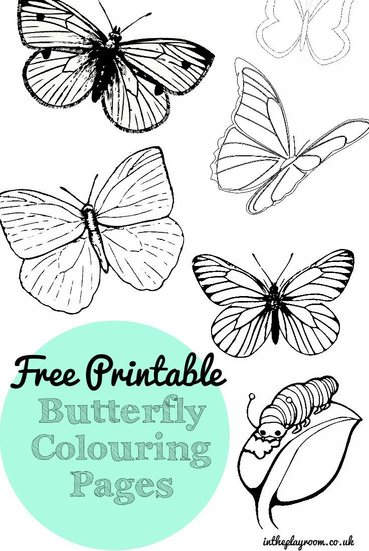 Free Printable Butterfly Colouring Pages - In The Playroom - Free Printable Butterfly