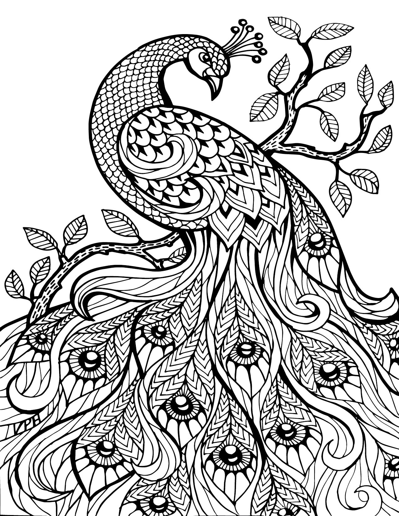 Free Printable Coloring Pages For Adults Only Image 36 Art - Free Printable Coloring Designs For Adults