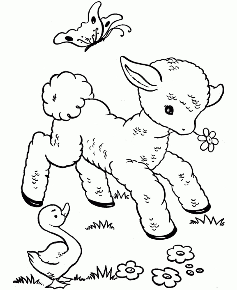 Free Printable Coloring Pages Of Cute Animals - Coloring Pages - Free Printable Pictures Of Baby Animals