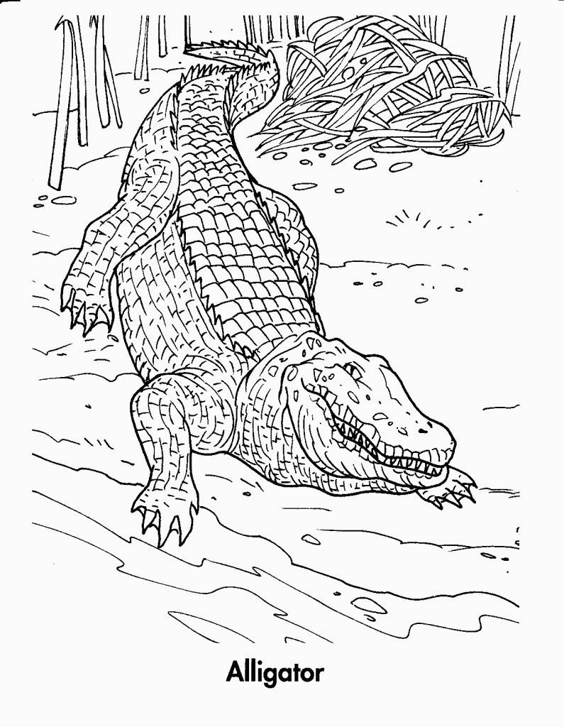 Free Printable Crocodile Coloring Pages For Kids For Alligator - Free Printable Pictures Of Crocodiles