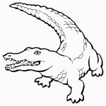 Free Printable Crocodile Coloring Pages For Kids For Coloring Pages   Free Printable Pictures Of Crocodiles