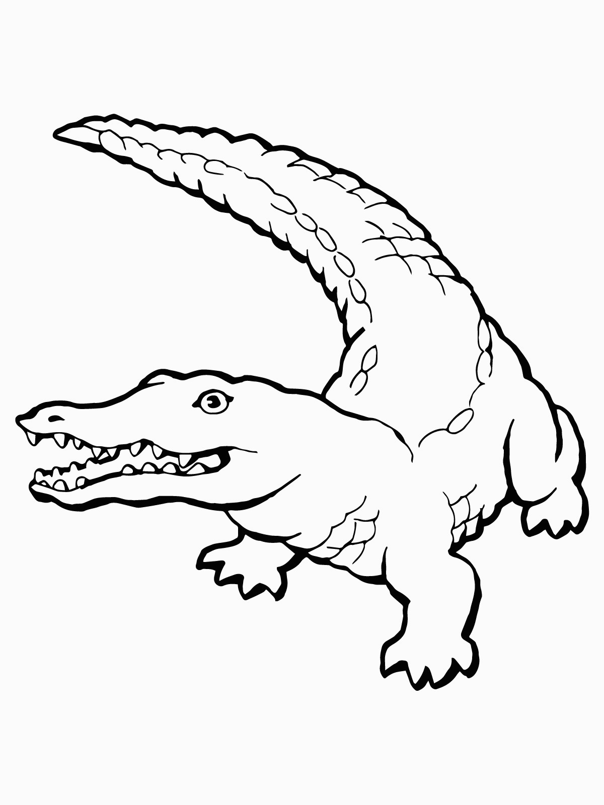 Free Printable Crocodile Coloring Pages For Kids For Coloring Pages - Free Printable Pictures Of Crocodiles