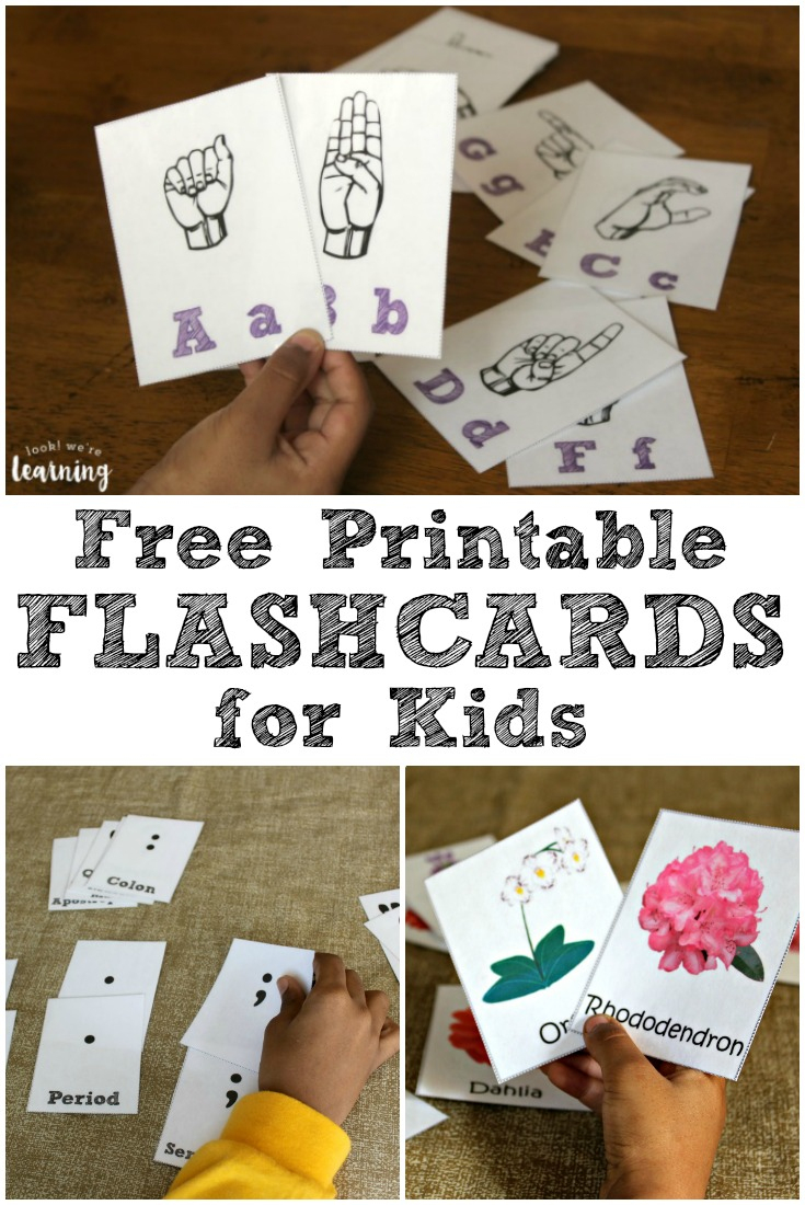 Free Printable Flashcards - Look! We&amp;#039;re Learning! - Free Printable Vocabulary Flashcards