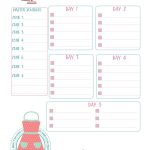 Free Printable Happy Planner Zone Cleaning Insert From Mintfox   Free Planner Refills Printable