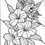 Free Printable Hibiscus Coloring Pages For Kids | Colouring, Drawing   Free Printable Hibiscus Coloring Pages