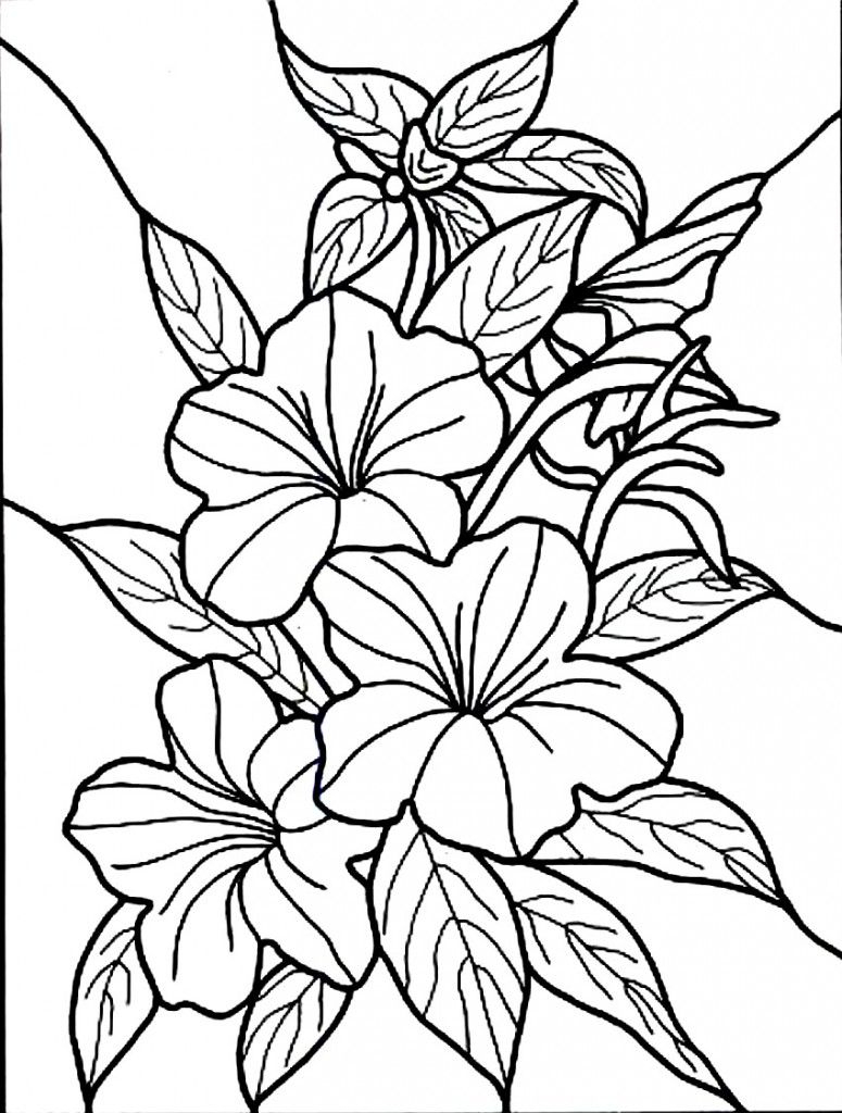Free Printable Hibiscus Coloring Pages For Kids | Colouring, Drawing - Free Printable Hibiscus Coloring Pages