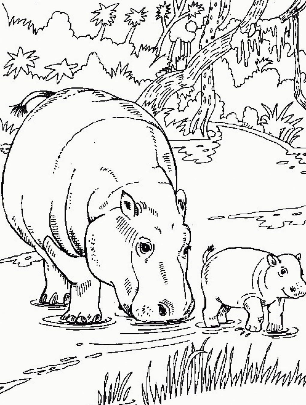 Free Printable Hippo Coloring Pages For Kids For Hippopotamus - Free Printable Hippo Coloring Pages