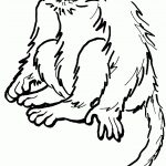 Free Printable Monkey Coloring Pages 1 510 2 771 Pixels To Print   Free Printable Monkey Coloring Sheets