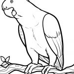 Free Printable Parrot Coloring Pages For Kids   Coloring Home   Free Printable Parrot Coloring Pages