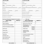 Free Printable Personal Financial Statement | Blank Personal   Find Free Printable Forms Online