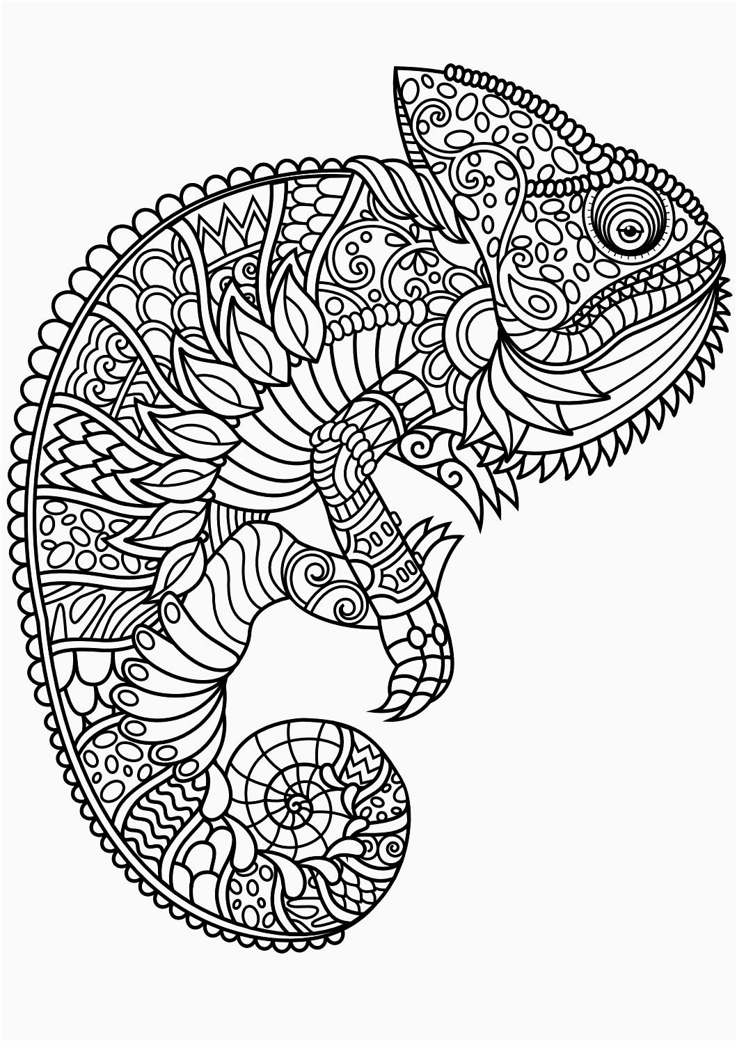 Free Printable Poodle Template - Dachsund Coloring Pages Poodle - Free Printable Poodle Template