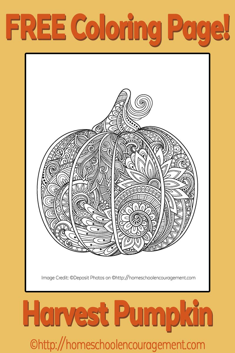 Free Pumpkin/ Harvest Themed Coloring Page | Coloring | Pumpkin - Free Printable Fall Harvest Coloring Pages