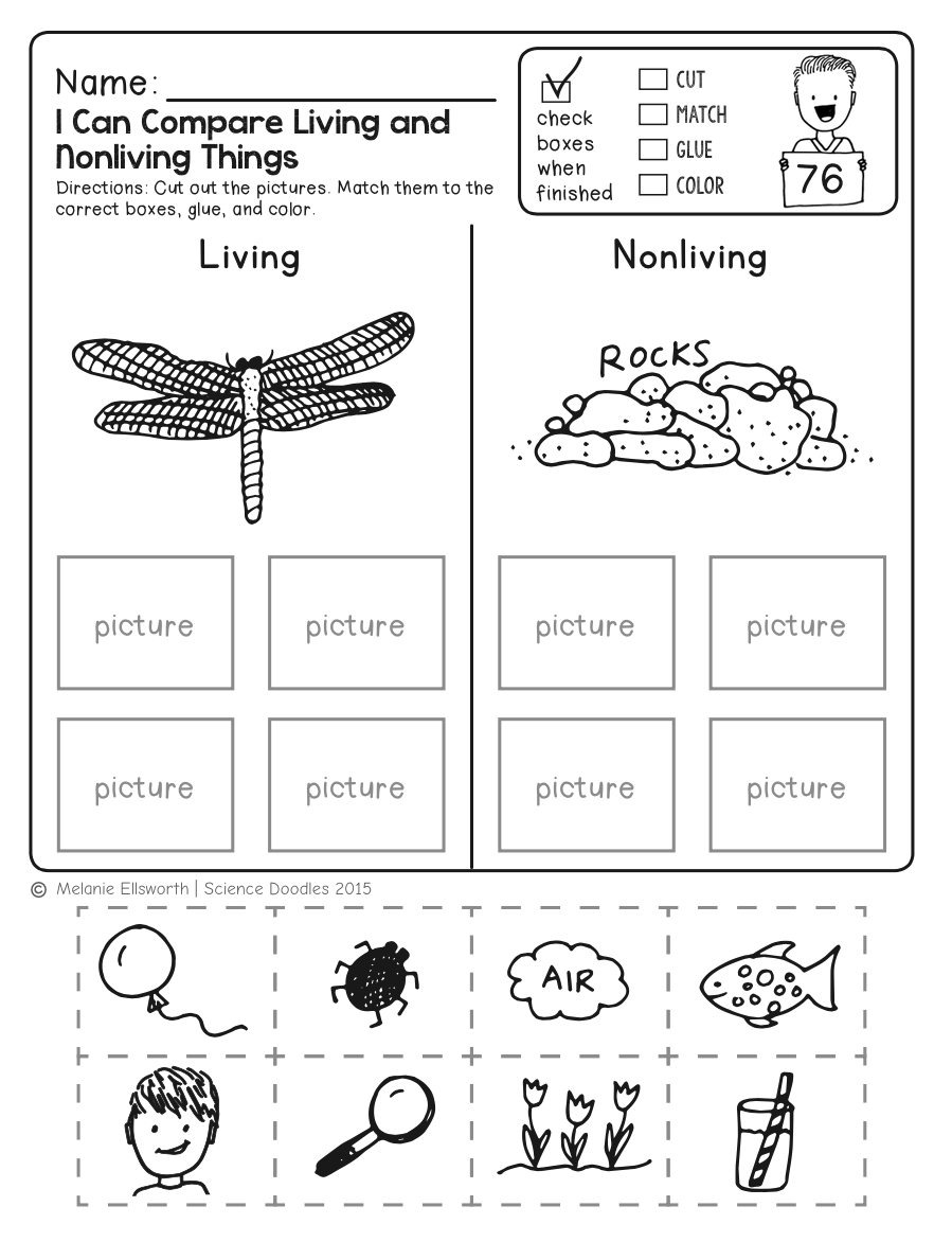 Freebie! No-Prep Kindergarten Science Doodle Printables | T E A C H - Free Printable Classroom Worksheets