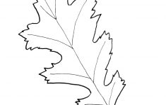 Free Printable Oak Leaf Patterns