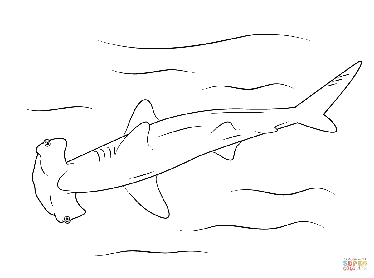 Hammerhead Shark Coloring Page | Free Printable Coloring Pages - Free Printable Shark Coloring Pages