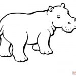 Hippopotamus Coloring Pages | Free Coloring Pages   Free Printable Hippo Coloring Pages