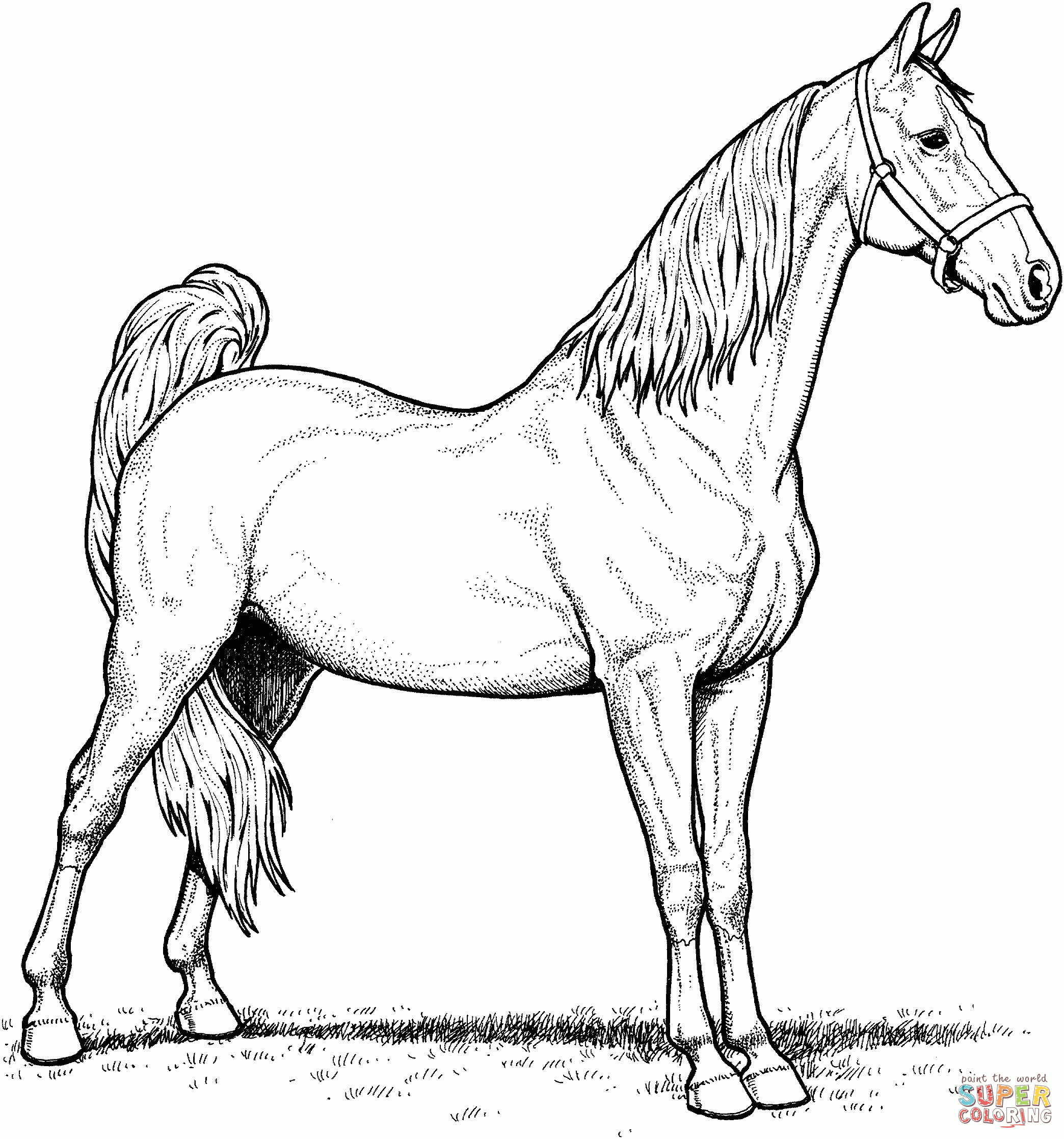 Horses Coloring Pages | Free Coloring Pages - Free Printable Horse Coloring Pages