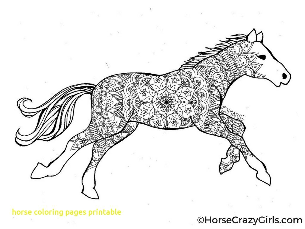 Horses Coloring Pages Printable And Free Horse For Adults Advanced - Free Printable Horse Coloring Pages