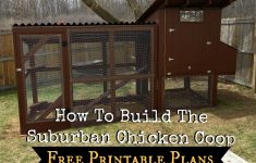 Free Printable Chicken Coop Plans