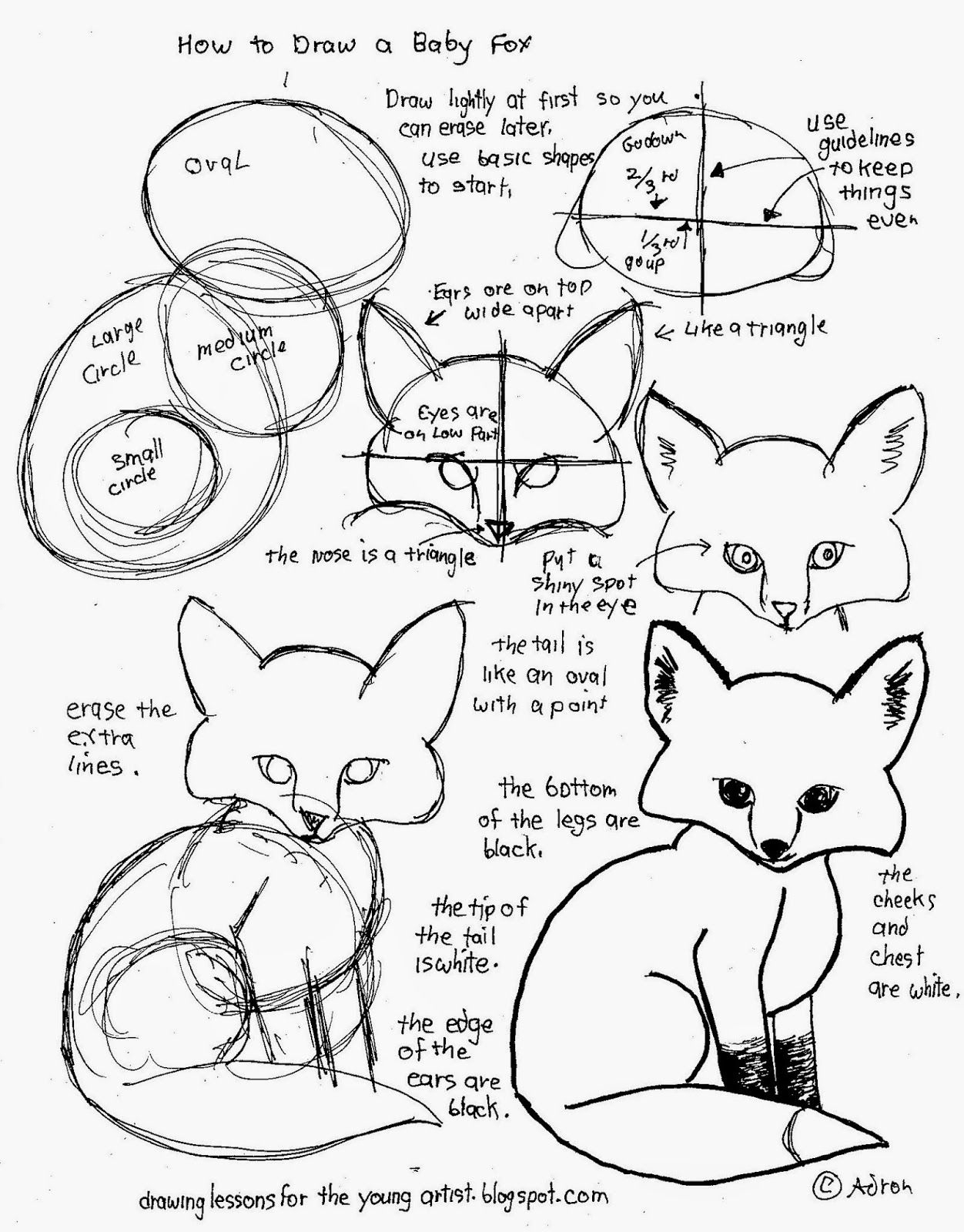 How To Draw Worksheets For The Young Artist: How To Draw A Baby Fox - Free Printable Drawing Worksheets