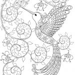 Hummingbird Coloring Pages For Adults, Free Dwonloadable | My Next   Free Printable Pictures Of Hummingbirds