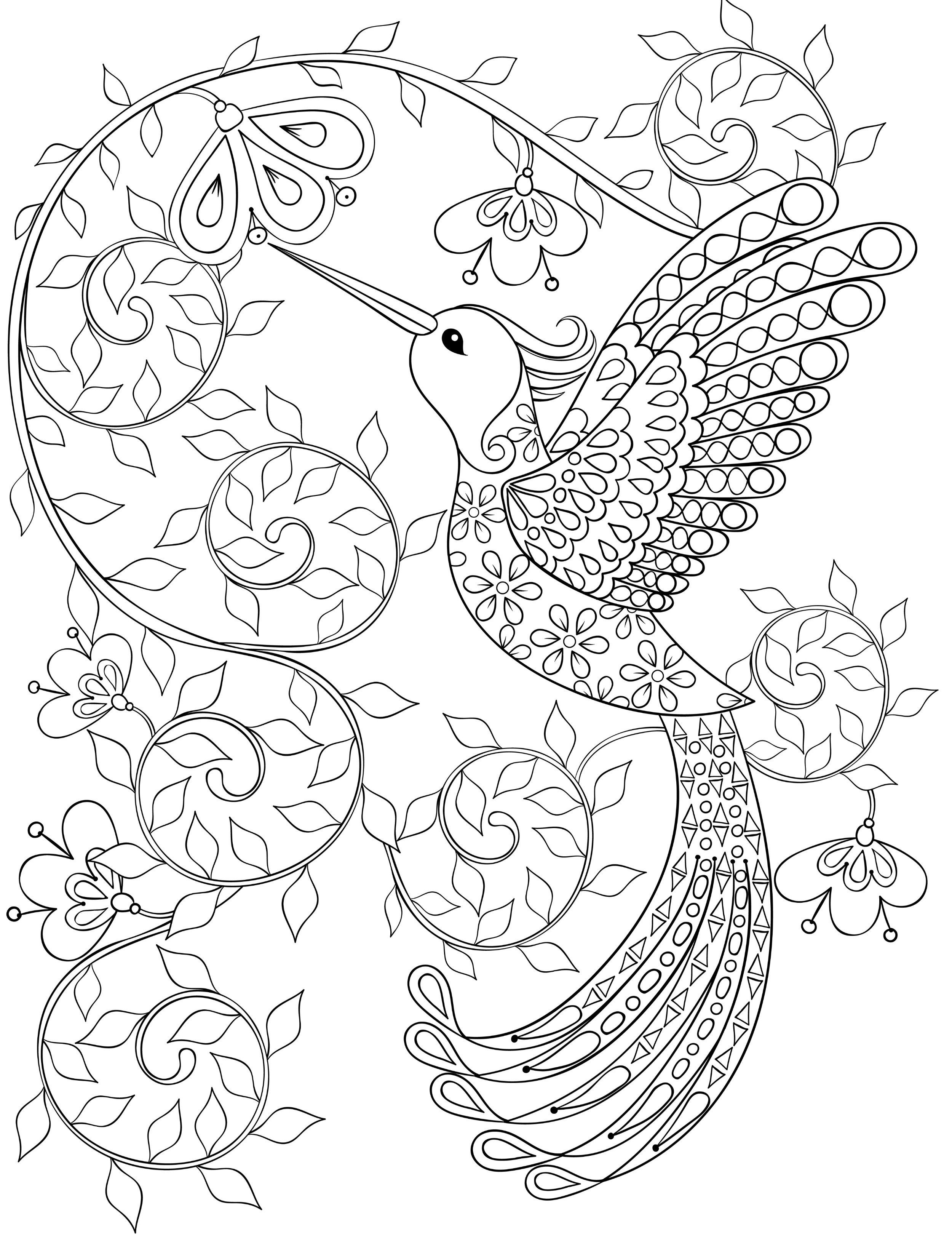Hummingbird Coloring Pages For Adults, Free Dwonloadable | My Next - Free Printable Pictures Of Hummingbirds