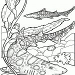 Leopard Sharks Coloring Page From Sharks Category. Select From 27237   Free Printable Shark Coloring Pages