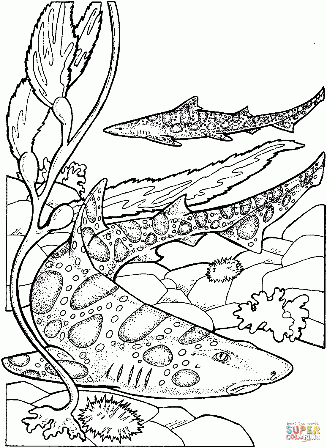 Leopard Sharks Coloring Page From Sharks Category. Select From 27237 - Free Printable Shark Coloring Pages