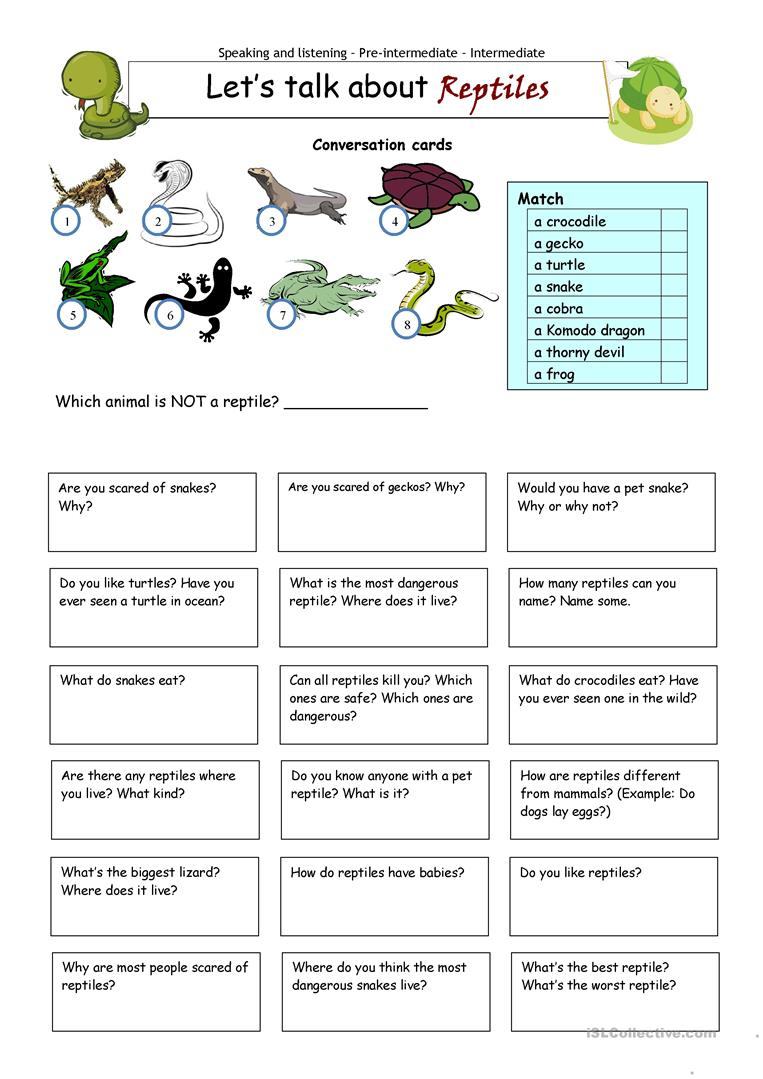 Let&amp;#039;s Talk About Reptiles Worksheet - Free Esl Printable Worksheets - Free Printable Reptile Worksheets