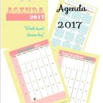 Mad About Pink: Free Printable 2017 Agenda   A4 Format   Free Printable Agenda 2017