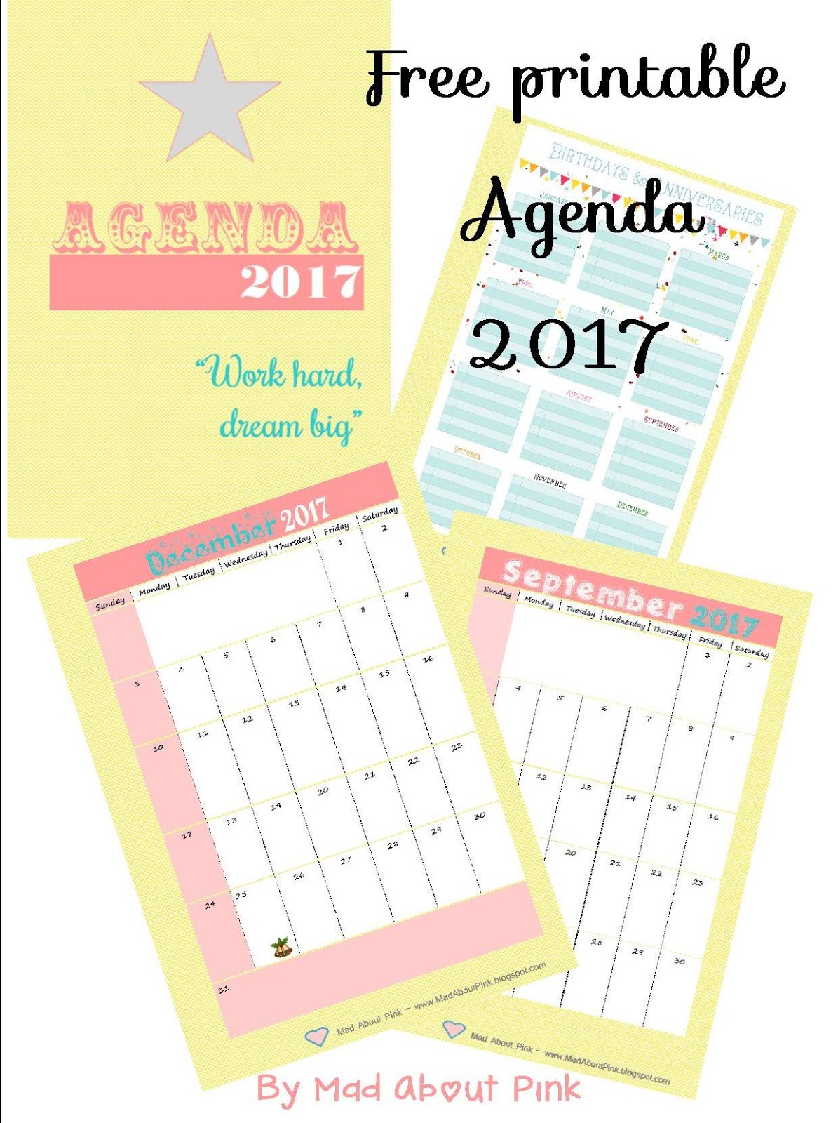 Mad About Pink: Free Printable 2017 Agenda - A4 Format - Free Printable Agenda 2017