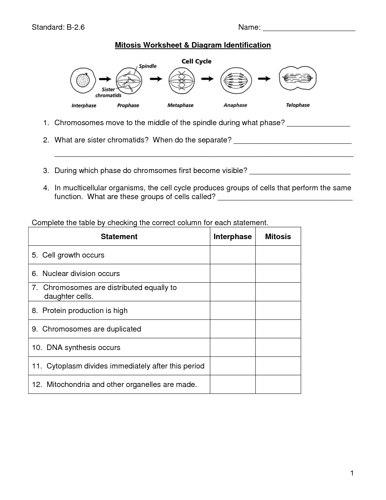 Mitosis Worksheet | Cells, Photosynthesis, Mitosis | Pinterest - Free Printable Biology Worksheets For High School