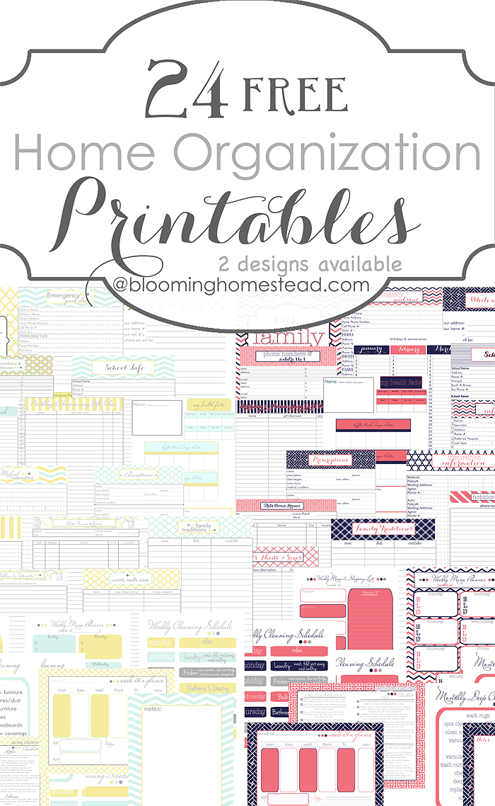 More Than 200 Free Home Management Binder Printables | Fab N&amp;#039; Free - Free Printable Home Organizer Notebook