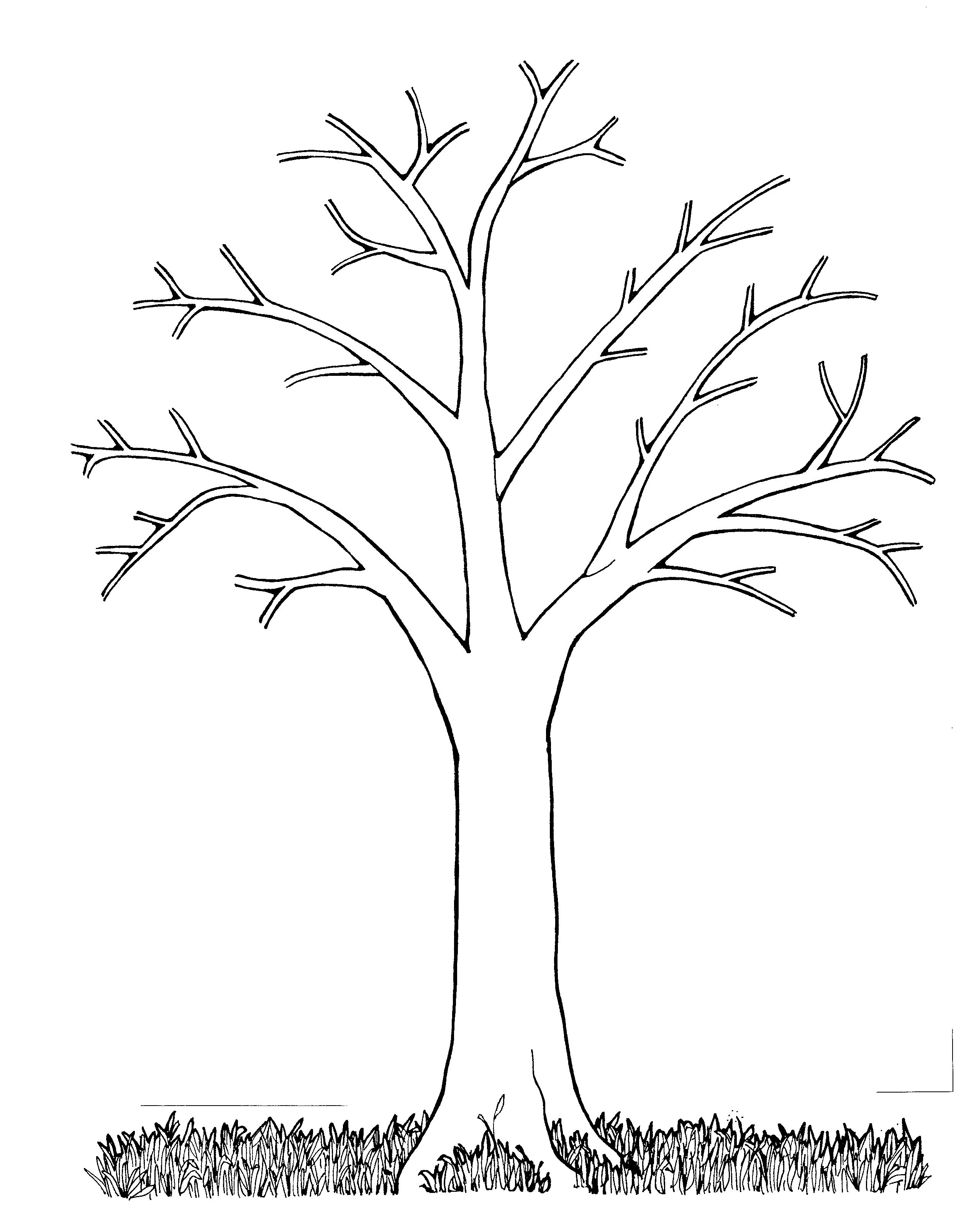 Mormon Share } Tree Bare | Melinda | Tree Templates, Coloring Pages - Free Printable Tree Template