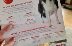 Free Printable Coupons For Purina One Dog Food