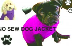 Free Printable Sewing Patterns For Dog Clothes