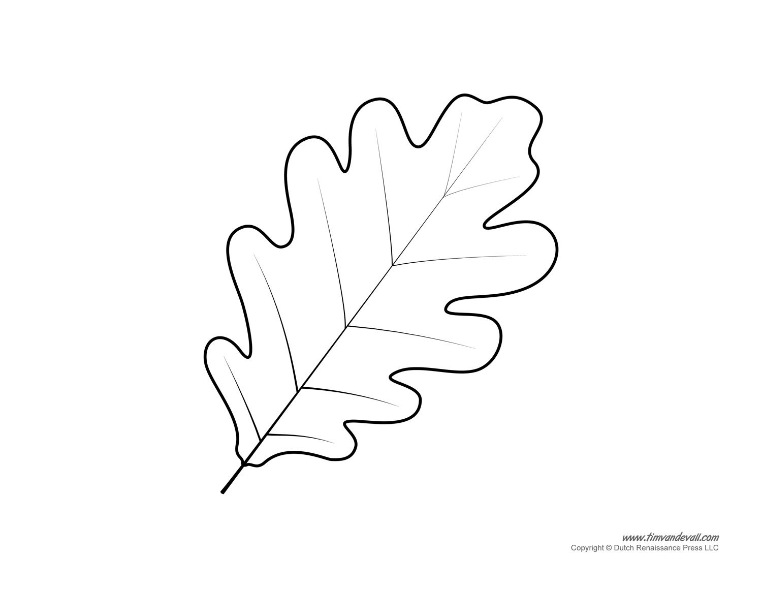 Oak Leaf Pattern. A High Resolution Version Of The Leaf Drawing Will - Free Printable Oak Leaf Patterns