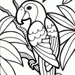 Parrot Coloring Pages | Cinderella | Pinterest | Coloring Pages   Free Printable Parrot Coloring Pages
