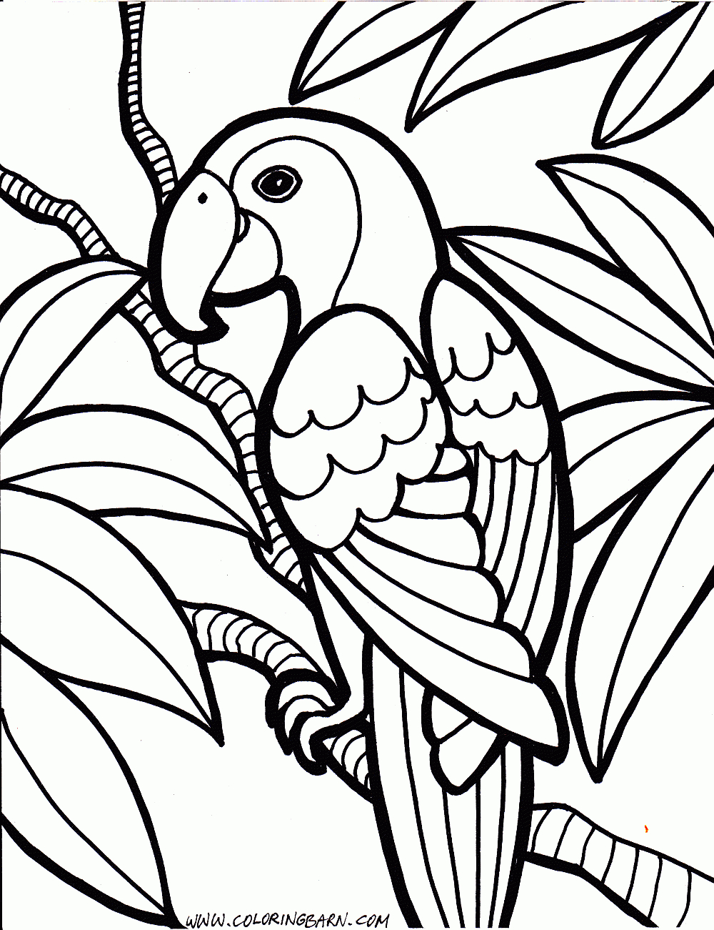 Parrot Coloring Pages | Cinderella | Pinterest | Coloring Pages - Free Printable Parrot Coloring Pages