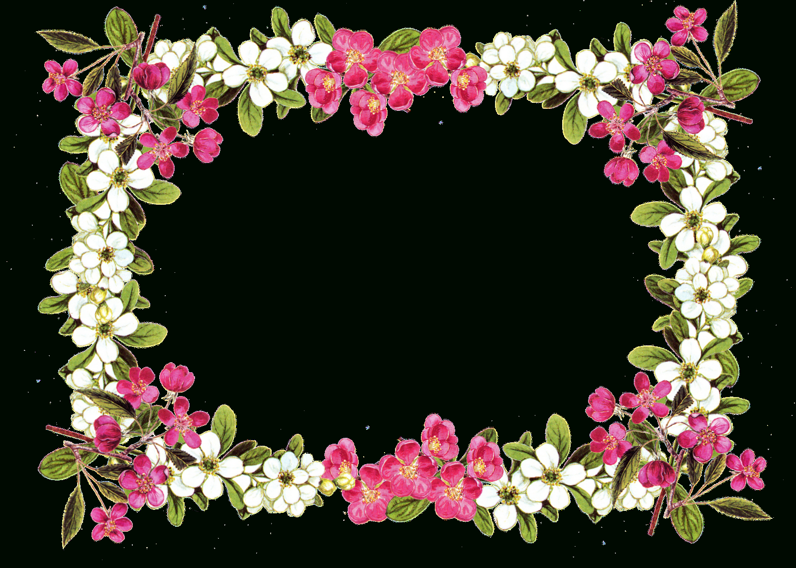 Picture-Flower Borders And Frames - Rr Collections - Free Printable Clip Art Borders