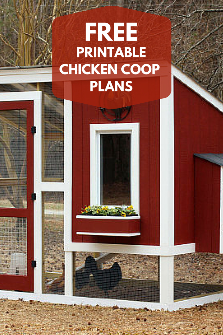 Pinhgtv On Outdoor Living Ideas | Building A Chicken Coop, Coops - Free Printable Chicken Coop Plans